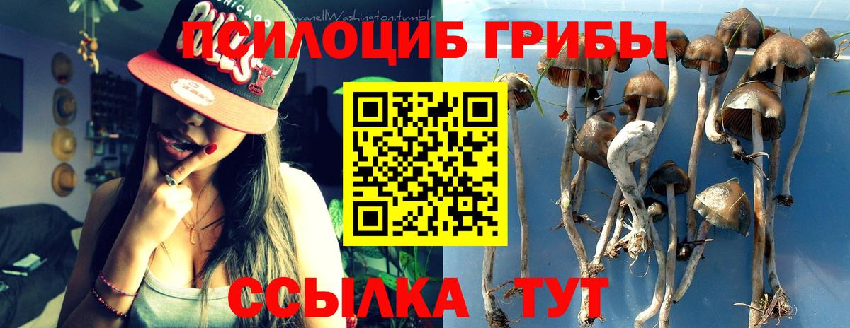 Кашира  Псилоцибиновые грибы Cubensis  Вход с VPN  Галлюциногенные грибы мухоморы 
