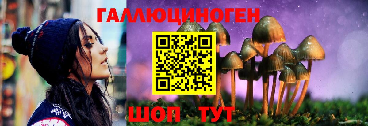 Галлюциногенные грибы мухоморы Кашира