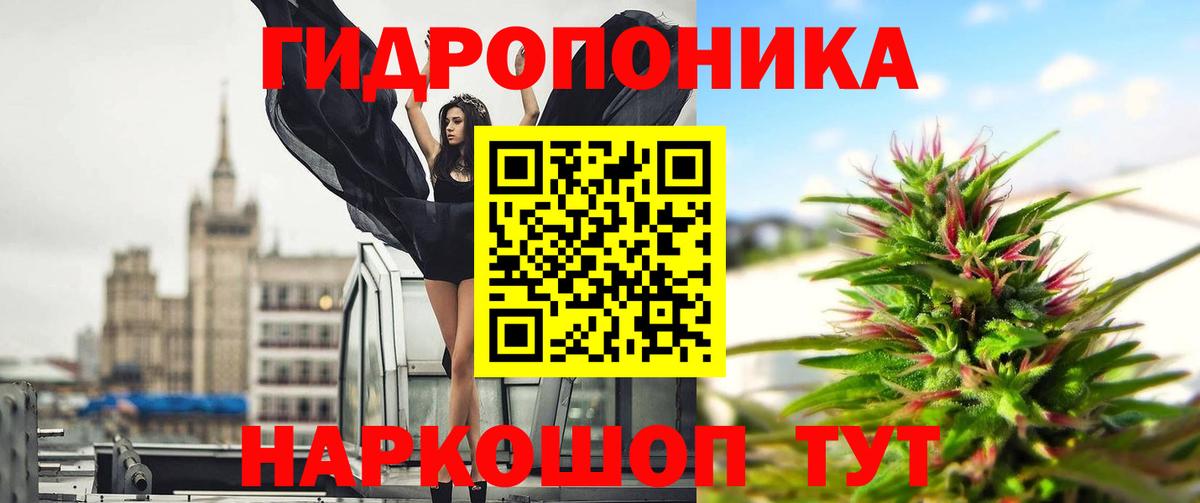 Бошки Шишки VHQ Кашира